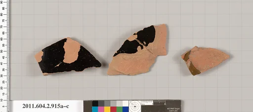 Terracotta fragments of bell-kraters (bowls for mixing wine and water)?