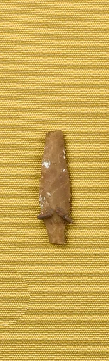 Projectile Point