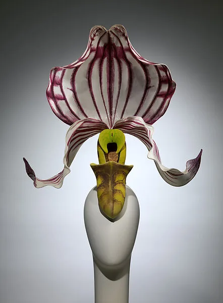 "Paphiopedilum Philippinense Orchid" — Philip Treacy|Philip Treacy