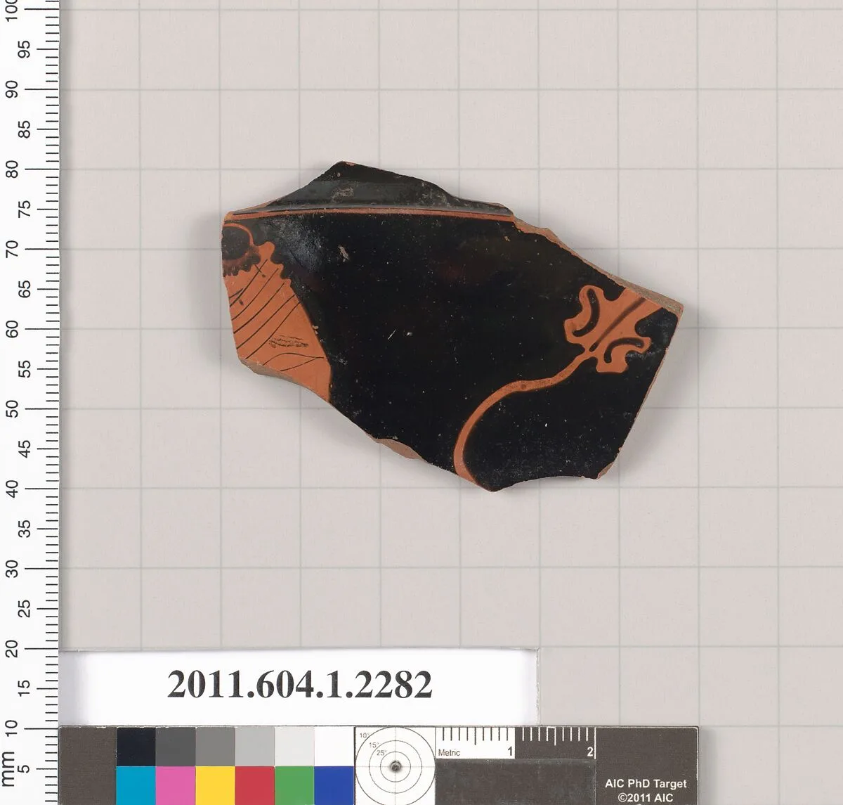 Terracotta fragment of a kylix (drinking cup) — Unknown
