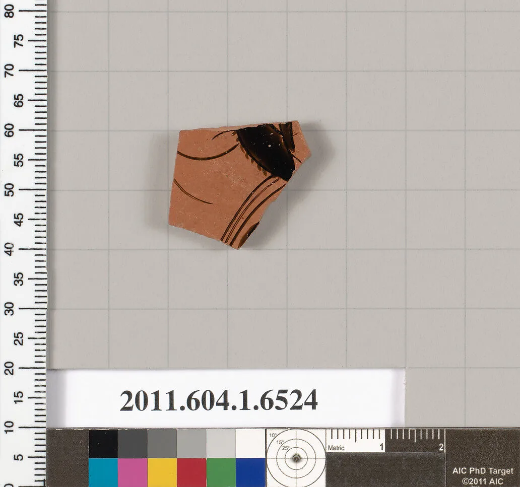 Terracotta fragment of a kylix (drinking cup) — Unknown