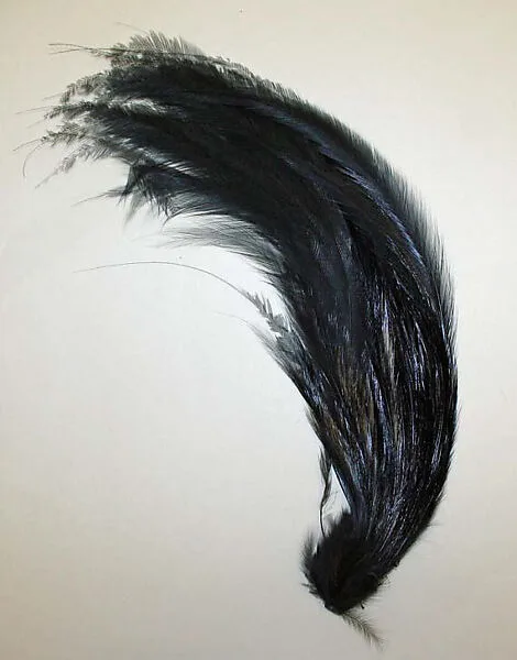 Aigrette — Unknown