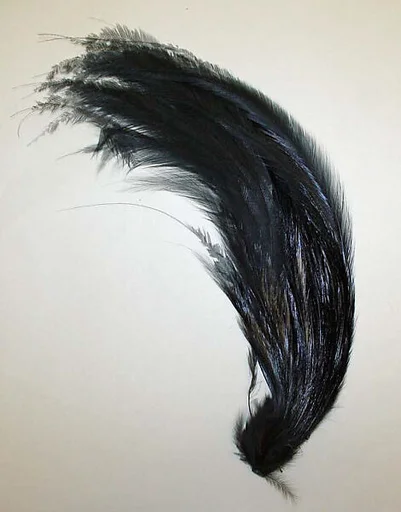 Aigrette