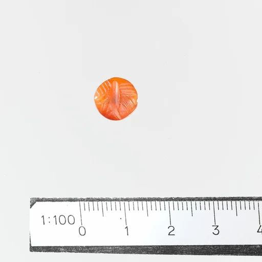 Seal