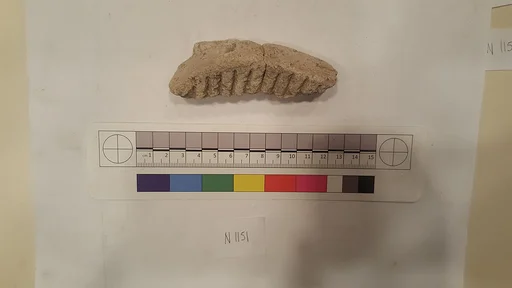Stucco Fragment