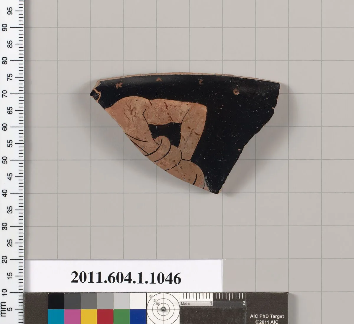 Terracotta fragment of a kylix (drinking cup) — Unknown