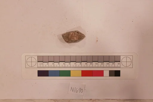 Stucco Fragment