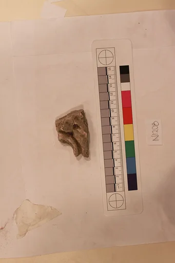 Stucco Fragment