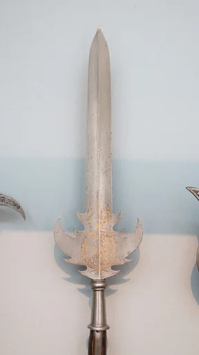 Partisan of Johann Georg II of Saxony (reigned 1656–80)