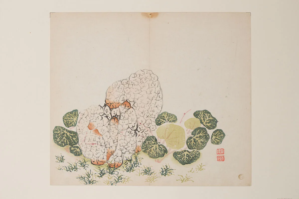 明 十竹齋書畫譜 四開|Leaf from the Ten Bamboo Studio Manual of Painting and Calligraphy — Unknown