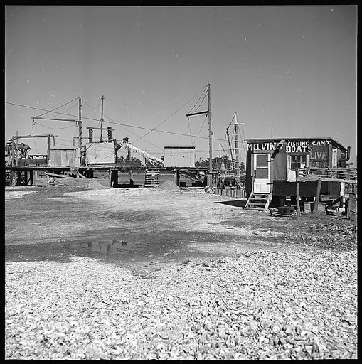 [16 Views of Fishing Shack, Biloxi, Mississippi]