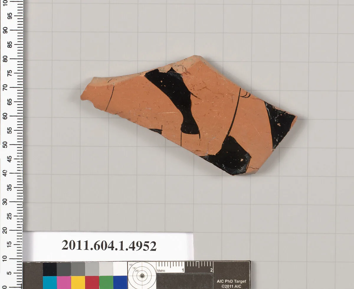 Terracotta fragment of a kylix (drinking cup) — Unknown