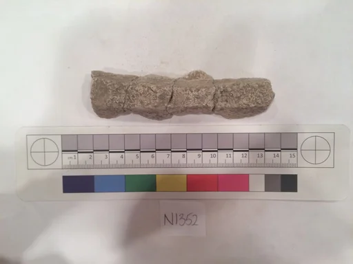 Stucco Fragment