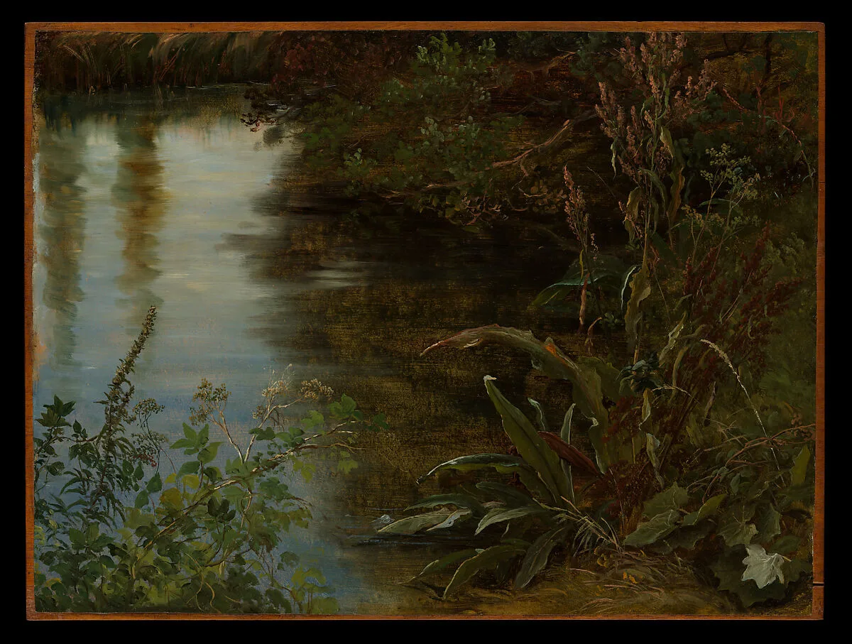 Study of Water and Plants — Thomas Fearnley