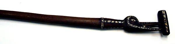 Walking Stick — Unknown