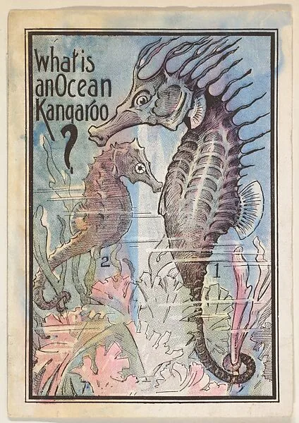 What is an Ocean Kangaroo?, bakery card from the Magic Card of Knowledge series (D50), issued by Spaulding Bakeries Inc. — Spaulding Bakeries Inc.