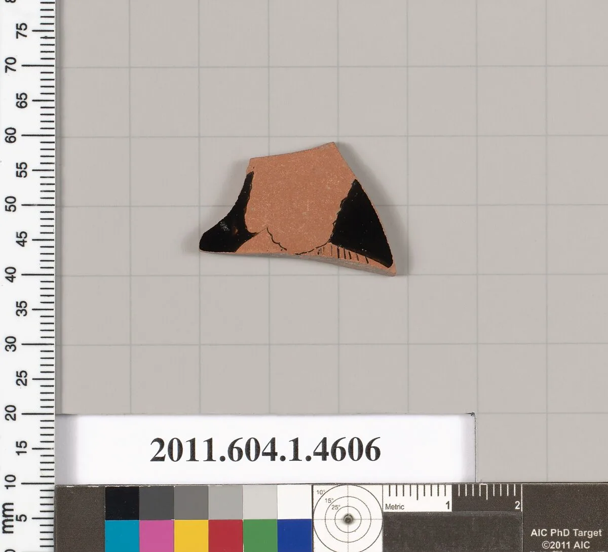 Terracotta fragment of a kylix (drinking cup) — Unknown