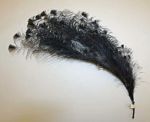 Aigrette