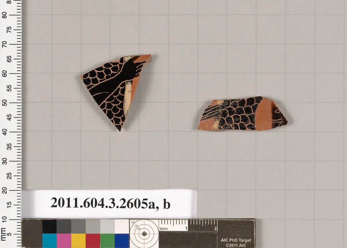Terracotta fragments of a kylix (drinking cup) — Unknown