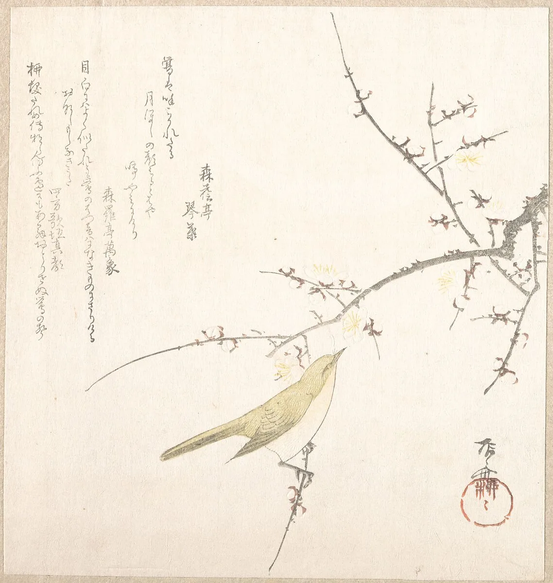 Untitled — Ryūryūkyo Shinsai