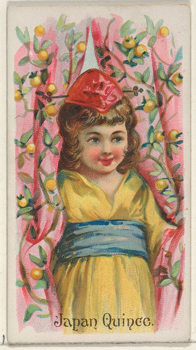 Japan Quince, from the Fruits series (N12) for Allen & Ginter Cigarettes Brands — Allen & Ginter|George S. Harris & Sons