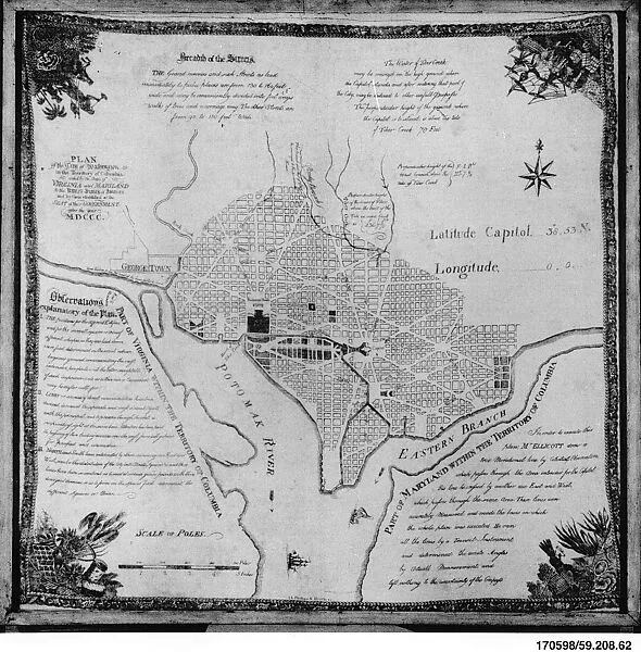 Handkerchief — Ellicott|I. L. Philips and Brothers