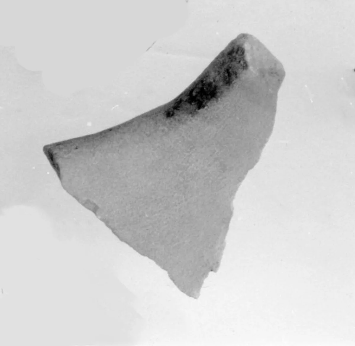 Fragment of the Top Surface of Siptah's Canopic Chest — Unknown