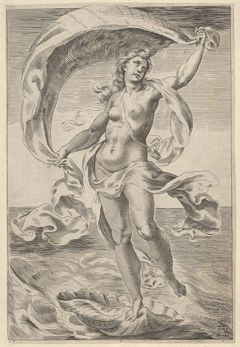 Venus on a half-shell, holding fabric over her head — Cherubino Alberti (Zaccaria Mattia)