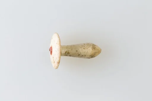 Ear Stud