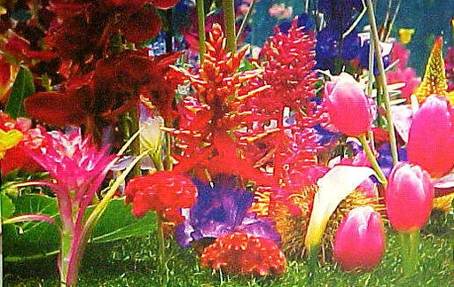 Garden 2
