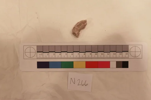 Stucco Fragment