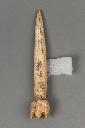 装身具|Body ornament