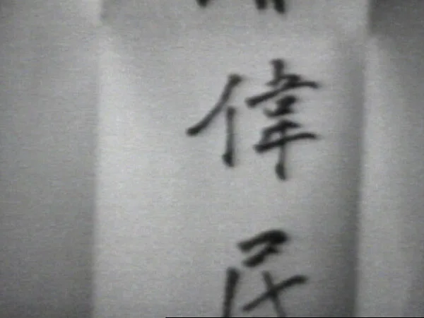 William Wegman in Chinese — William Wegman
