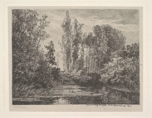 Stags at the Water's Edge