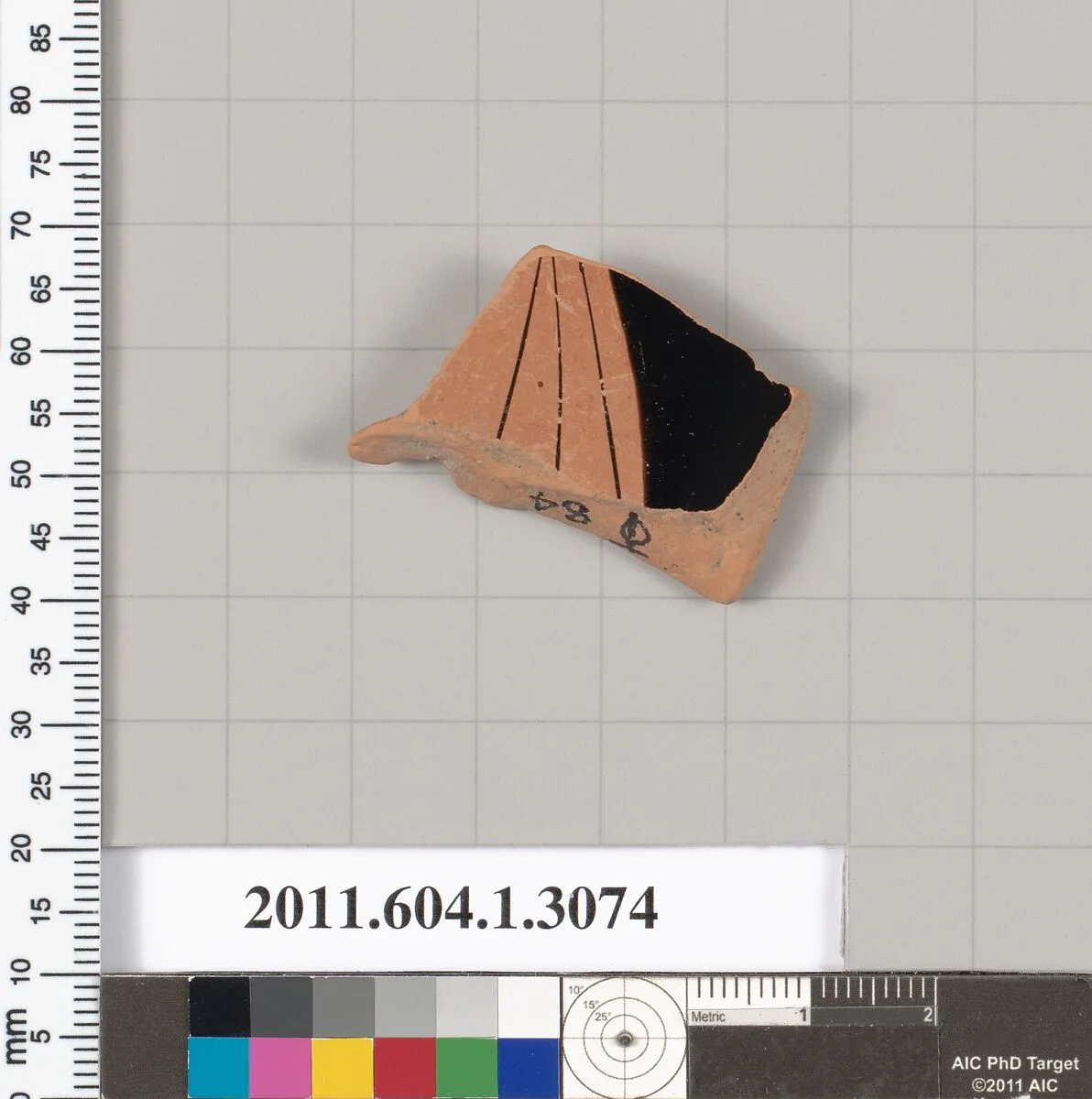 Terracotta fragment of a kylix (drinking cup) — Unknown