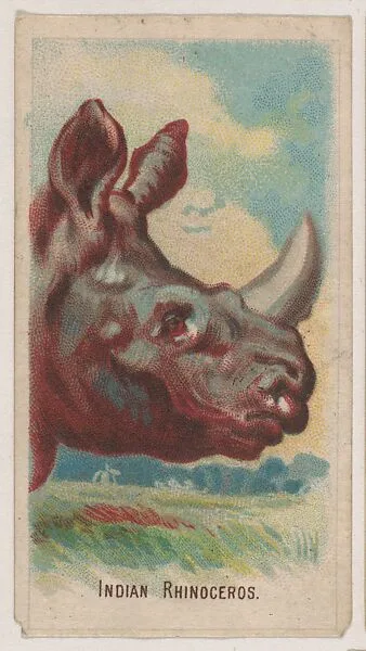 Indian Rhinoceros, collector card from the Animal Pictures series (D8), issued by the Weber Baking Company to promote Onist Milk and Pullman Bread — Weber Baking Company