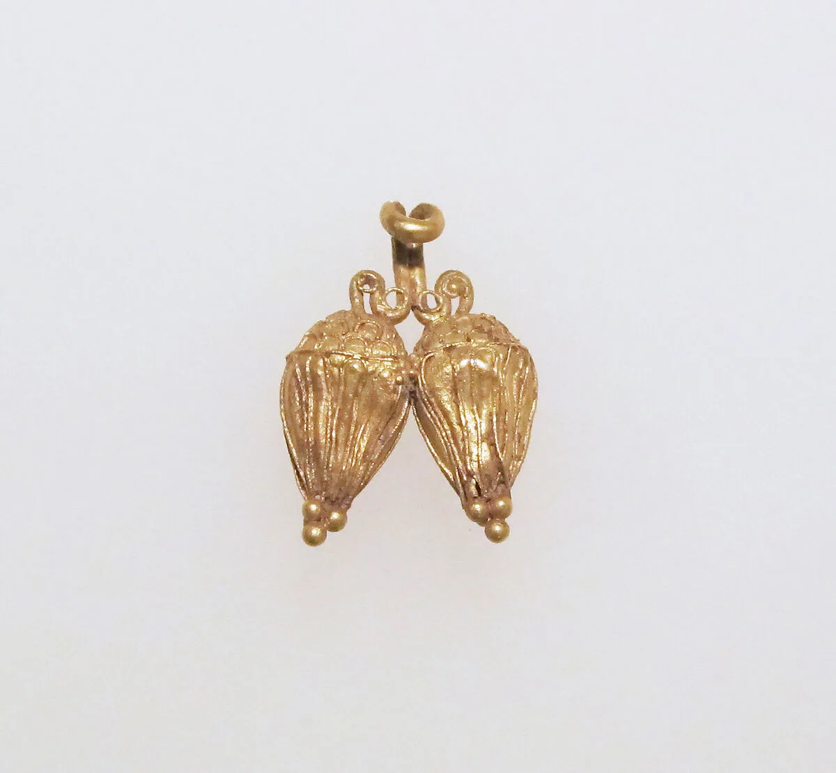 Clasp ? — Unknown