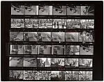 [Contact Sheet from Canadian Assignment]