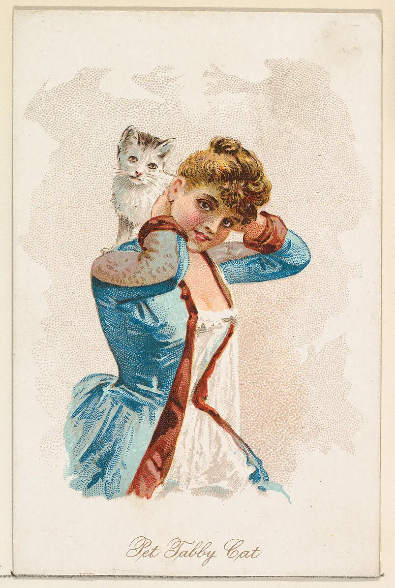 Pet Tabby Cat, from the Household Pets series (N194) issued by Wm. S. Kimball & Co. — Julius Bien & Co.|American Tobacco Company|William S. Kimball & Company