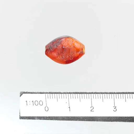 Seal, amygdaloid