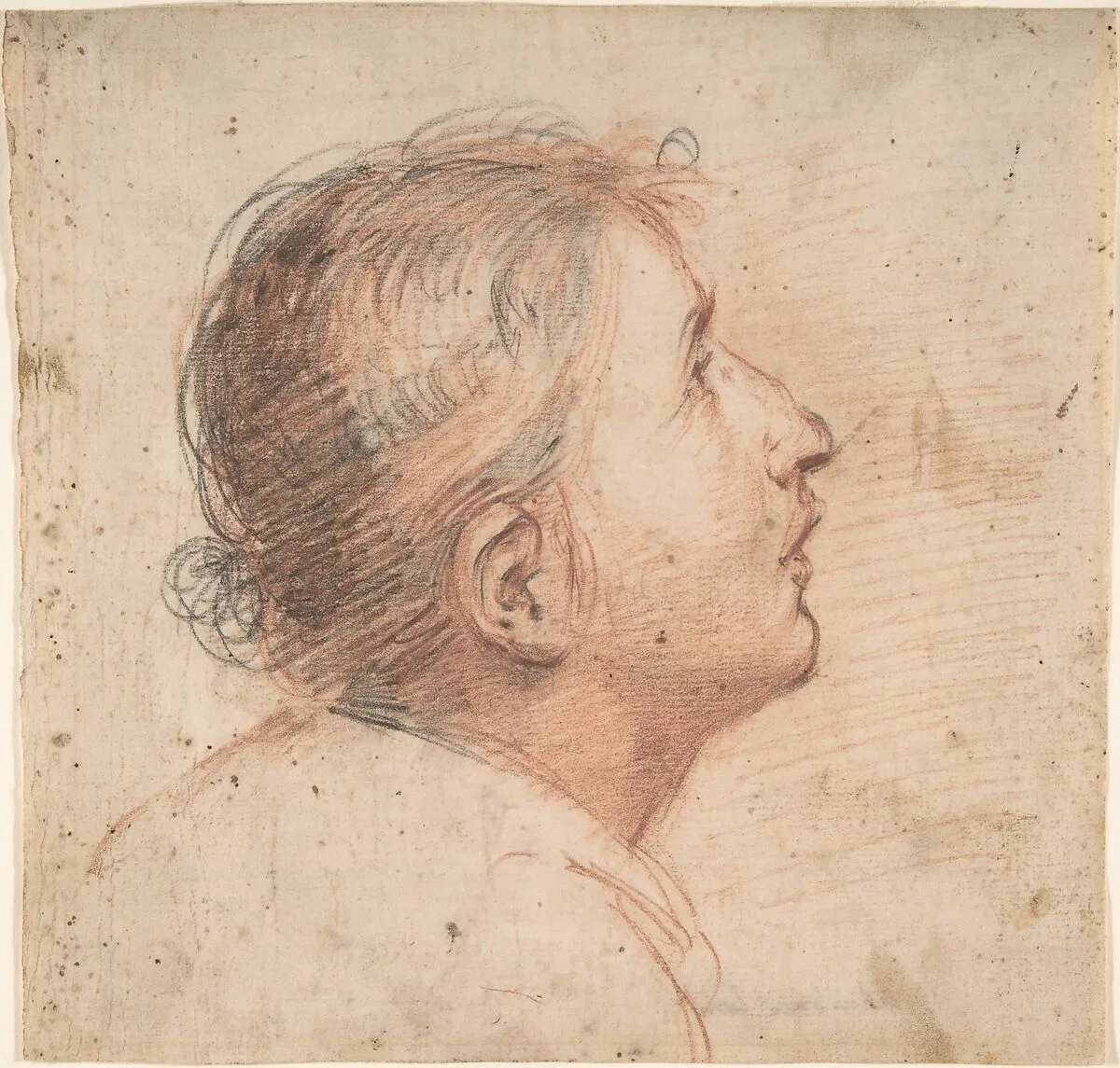Youth Gazing Upwards in Profile — Francesco Montelatici ("Cecco Bravo")