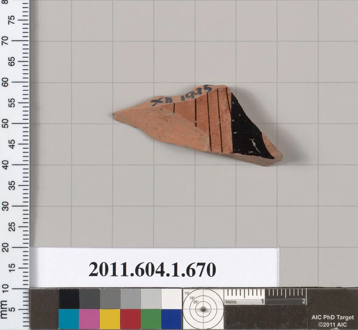 Terracotta fragment of a kylix (drinking cup) — Unknown