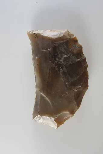 Sickle Insert
