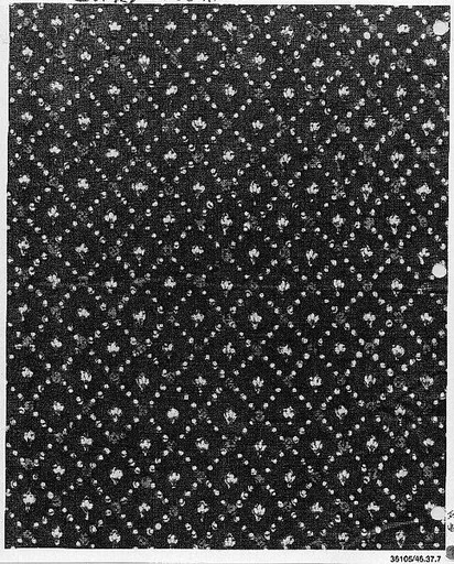 Textile Fragment