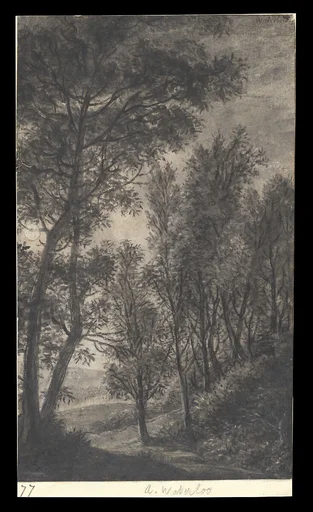 Wooded Landscape