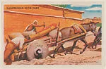 Manchurian Mule Cart from Story of Transportation Educational Pictures (W608-6) — Unknown