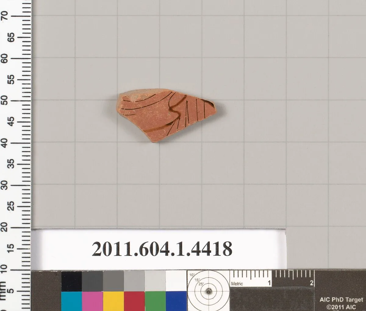 Terracotta fragment of a kylix (drinking cup) — Unknown