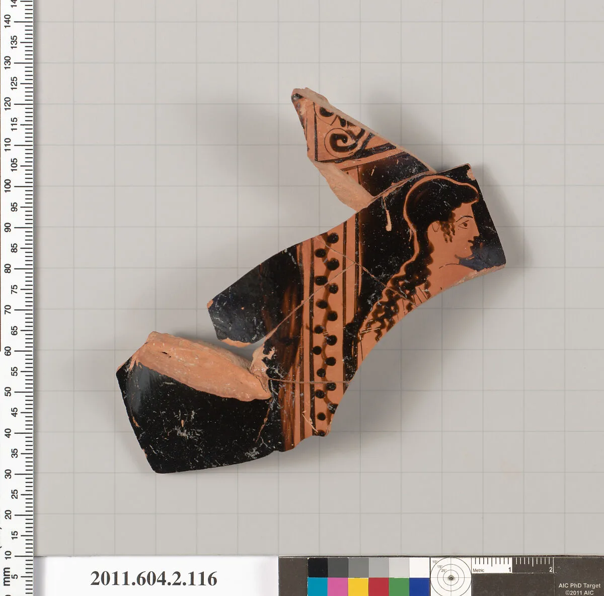 Terracotta fragment of a pelike (jar) — Unknown