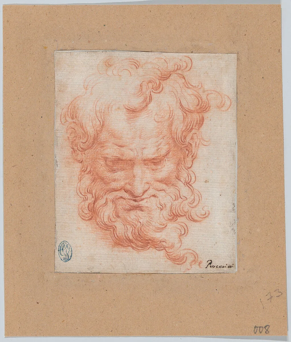Study of Bearded Man — Camillo Procaccini