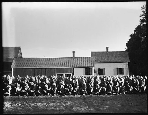 [Farmhouse Buildings with Plantings]